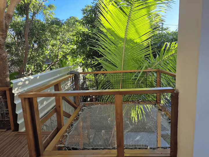 Un jardin de palmiers, une vue sur l'océan